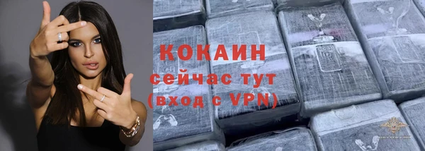 гидра Кулебаки