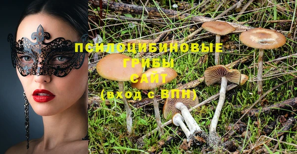 гидра Кулебаки