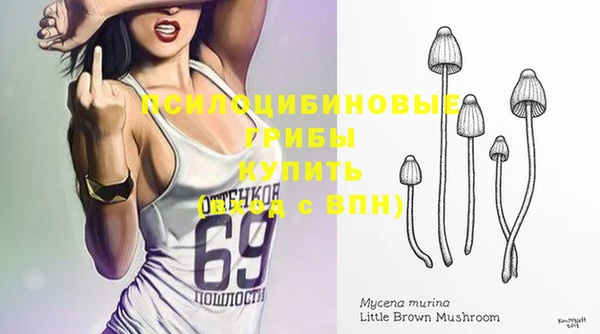 гидра Кулебаки