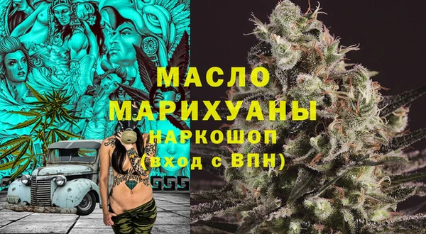 гидра Кулебаки