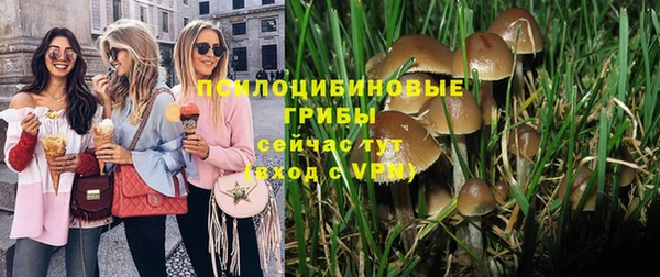 гидра Кулебаки