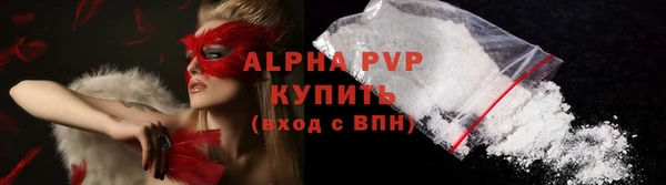 стафф Ладушкин