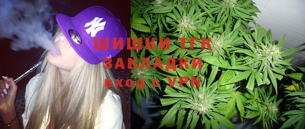 гидра Кулебаки