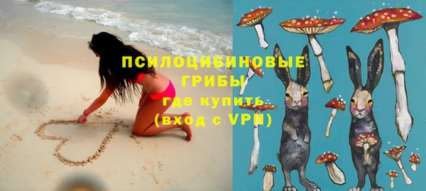 стафф Ладушкин