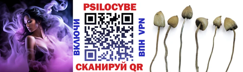 Купить где  Козьмодемьянск  Псилоцибиновые грибы прущие грибы 
