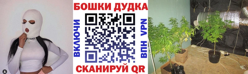 Бошки марихуана план  Купить закладки  Козьмодемьянск 